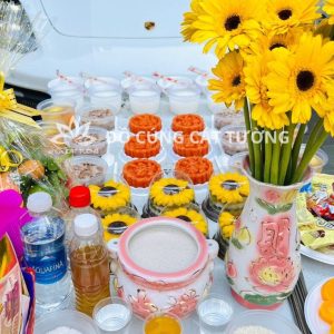 MÂM CÚNG XE MỚI GÓI 1